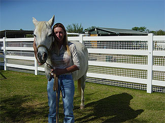 Star - Rescued Horse